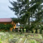 Joanna Apartamento Wapnica (West Pomeranian)