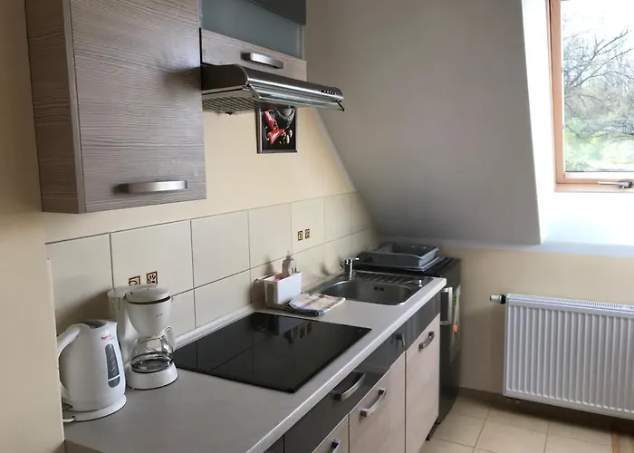 Joanna Wapnica (West Pomeranian)